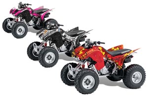 Honda TRX 300EX ATV Custom Graphic Kit - 2007-2013