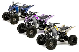 Yamaha Raptor 125 ATV Custom Graphic Kit - 2011-2014